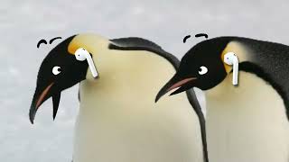 Penguin Party