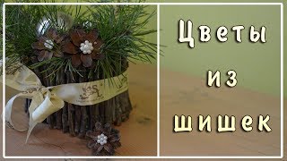 Цветы из шишек. Поделки из шишек своими руками. Цветы из шишек. Поделки из шишек своими руками.