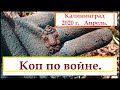 Коп по войне."Железный лес".Позиции вермахта.Апрель 2020.Калининград.