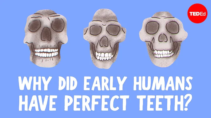 Why do we have crooked teeth when our ancestors didn’t? - G. Richard Scott - DayDayNews