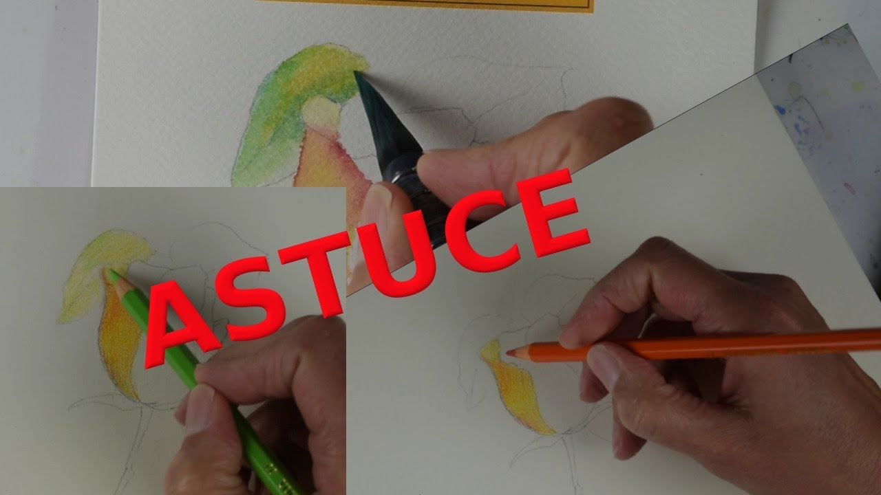 APPRENDRE L'AQUARELLE AVEC LES CRAYONS DE COULEUR 