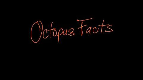 Giant Pacific Octopus Facts