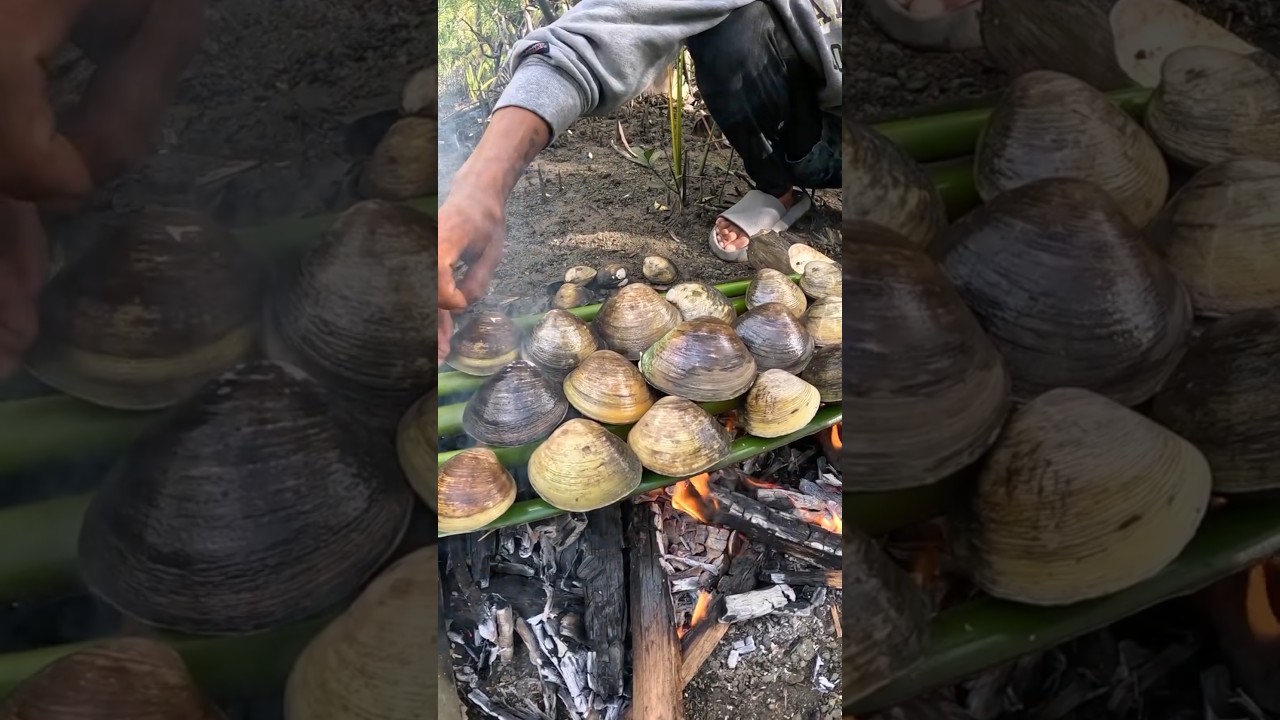 Easiest Mud Clams Recipe: 15-Minute Garlic Butter Clams 🦪🧄 | Clean, Cook & Enjoy Fresh Clams Cooking