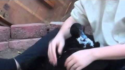 Unit 3, Assignment 2