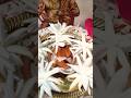 #Attlatadhi pooja#shorts#viral#