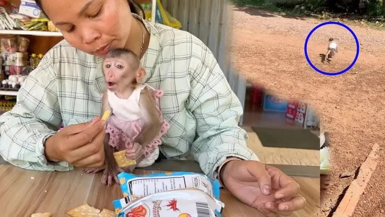 Emma Doesn't Want to Stay at the Seller's Place—She Runs Back Home So Fast