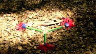 New Tribal Devil Sticks
