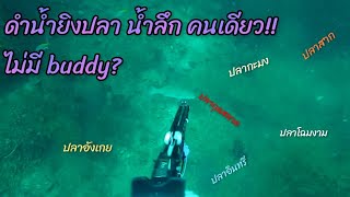 ดำน้ำยิงปลาทะเล น้ำลึก คนเดียว? Freediving spearfishing no buddy