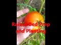 Raised Bed Prep &amp; Plant