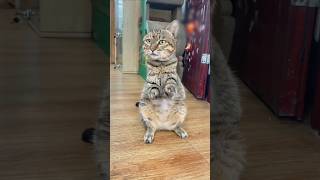 He doesn’t move much…but somehow you can’t look away.