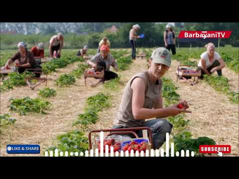 Тежко е майко Cover 2025 