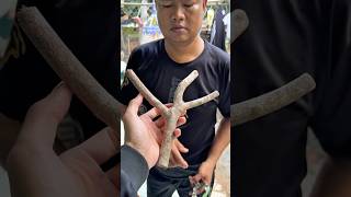 Làm Ná Cao Su Gặp Pha Khó Phải Nhờ Thầy Nhật Ra Tay