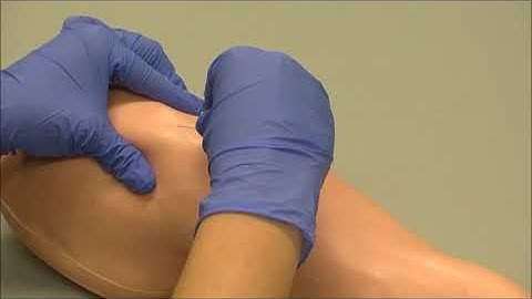 Saf-T-Intima 24 Gauge Subcutaneous Needle