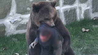 МЕДВЕДЬ НАПАЛ НА ЧЕЛОВЕКА Снятые На Камеру Жуткие Моменты | Video of bear Attack