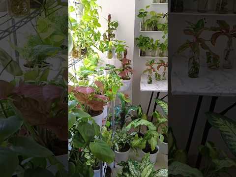 My serene indoor