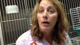 Visit the scene of Shawano's animal rescue