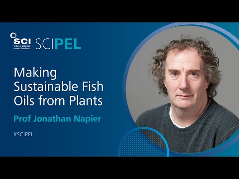 Making Sustainable Fish Oils from Plants | Prof Jonathan Napier | #SCIPEL 2019 | SCI