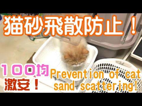 猫砂飛散対策・100円ショップ100均グッズ＆猫トイレマット/可愛いおもしろいdiy動画-cat-litter-measures-$1-goods-&-litter-mat-/-cute-funny