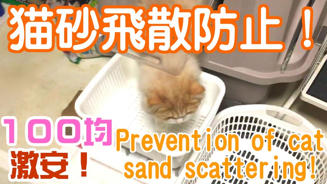 猫トイレ猫砂飛散防止簡単diy作り方 100均グッズで簡単掃除 飛び散らないマット Youtube