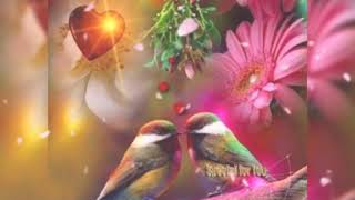 Peb Hmoob Lub Neej Nyob Pem Toj Siab Nkauj Ntseeg