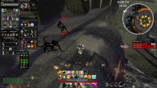 Guild Wars - FoWSC 3Man Derv