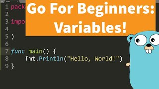 Golang For Beginners: Using Variables