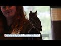 Bird enthusiasts celebrate Migratory Bird Day in Appalachia
