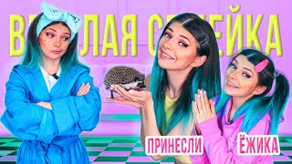 УГОВАРИВАЕМ МАМУ ОСТАВИТЬ ПИТОМЦА  | СЕРИАЛ - ВЕСЕЛАЯ СЕМЕЙКА