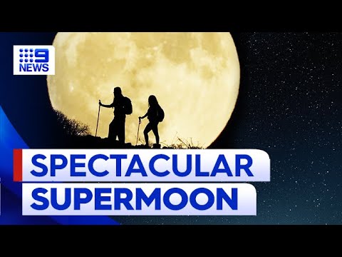 How you can see rare super blue moon extravaganza in Australia | 9 News Australia