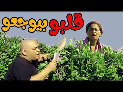 الواد قلبو بيوجعو وعايز حد يدلعه بصو حبيبته الشقية عاملة فيه إيه  الإخوة الأعداء