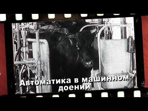 АВТОМАТИКА В МАШИННОМ ДОЕНИИ. Часть 2
