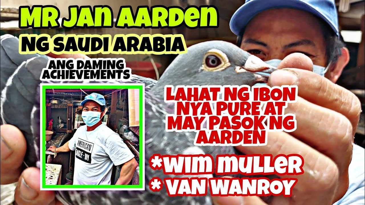 KABAYAN FANCIER NG SAUDI ARABIA,, PURO JAN AARDEN ANG LINYADA ,, ANG GAGANDA NG MGA EYE SIGN.