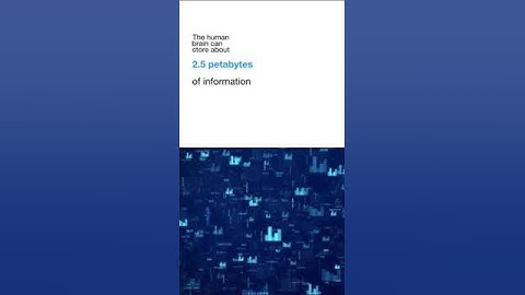 Did You Know? Your Brain Can Store More Data Than You Imagine! 🧠💾 #didyouknow #funfacts #brain #data