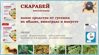 Скарабей - новое средство от гусениц на яблоне, винограде и капусте. Обзор смесевого инсектицида