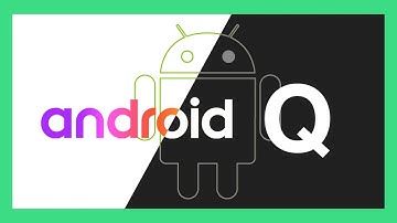 Android Q/10: Hidden Easter Egg (+30)