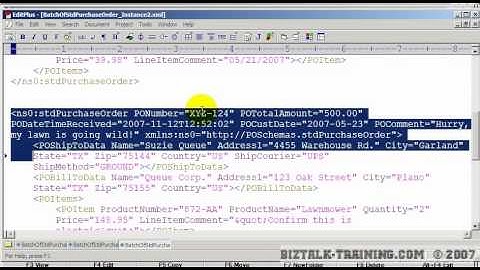 BizTalk 2006/R2 - 14-01 - Creating and Testing an Envelope Schema
