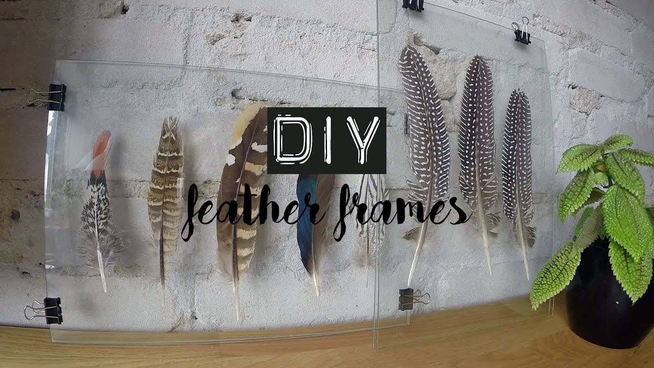 How To Frame Feathers