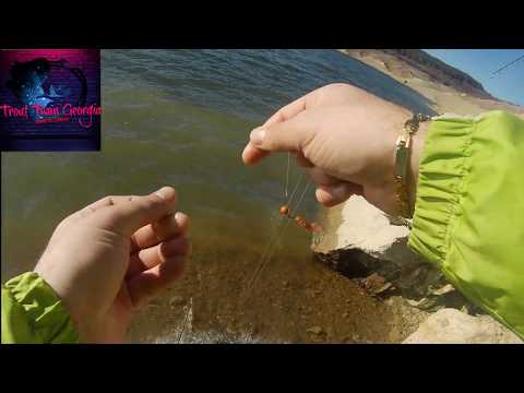 სახლართი ბადე ალგეთის წყალსაცავზე...