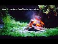 【苔テラリウム】焚き火のある苔テラリウム　How to make a bonfire in terrarium