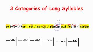 Latin Dactylic Hexameter 2 02 Dacytlic Hexamter
