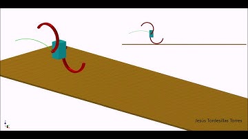 Kinematic Model of a Hexapod Robot with C-Legs