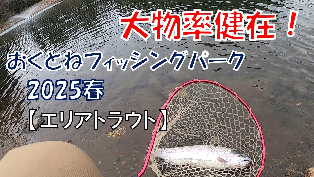大物率健在！おくとねフィッシングパーク2025春【エリアトラウト】