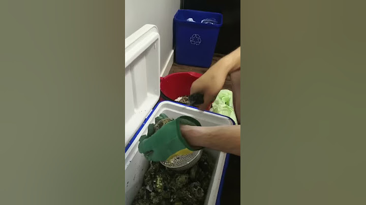 How to open an oyster.  如何开生蚝！