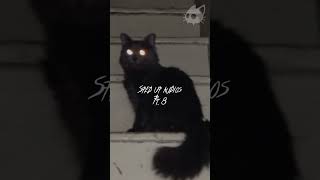 15:52 || #viral #spedupaudios #spedup #song #lyrics #goodsongs #audio