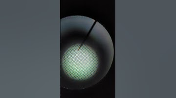 computer display under a Microscope #electronic #technology #microscope