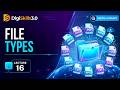 Understanding File Types and Extensions | Digital Literacy | Lec 16 | DigiSkills 3.0