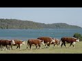 Building the Future: New Year 9 residential program in Mallacoota