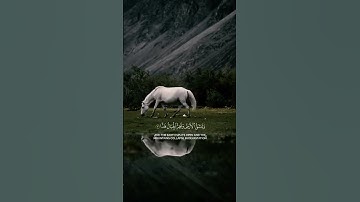 ما شاء الله! تلاوة تهز القلب 💔 | سورة مريم آية 88 بصوت مؤثر جداً#قرآن #تلاوة #سورة_مريم #صوت_خشوع