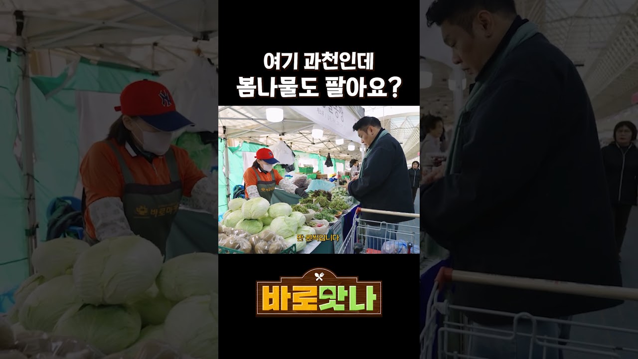 여기 과천인데 봄나물도 팔아요