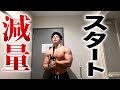 減量始めました。